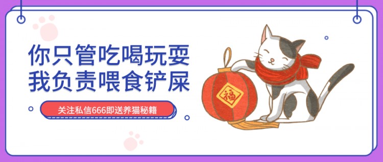 拥有一只高颜值的猫是一种什么体验？网友：在它面前，我毫无尊严