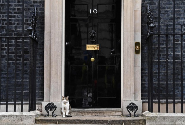 猫生如此夫复何求英国第一猫的政治生涯